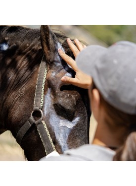 Crema regeneradora para caballos con picor | MAKTUK HORSES