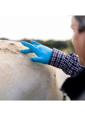 Crema regeneradora para caballos con picor | MAKTUK HORSES