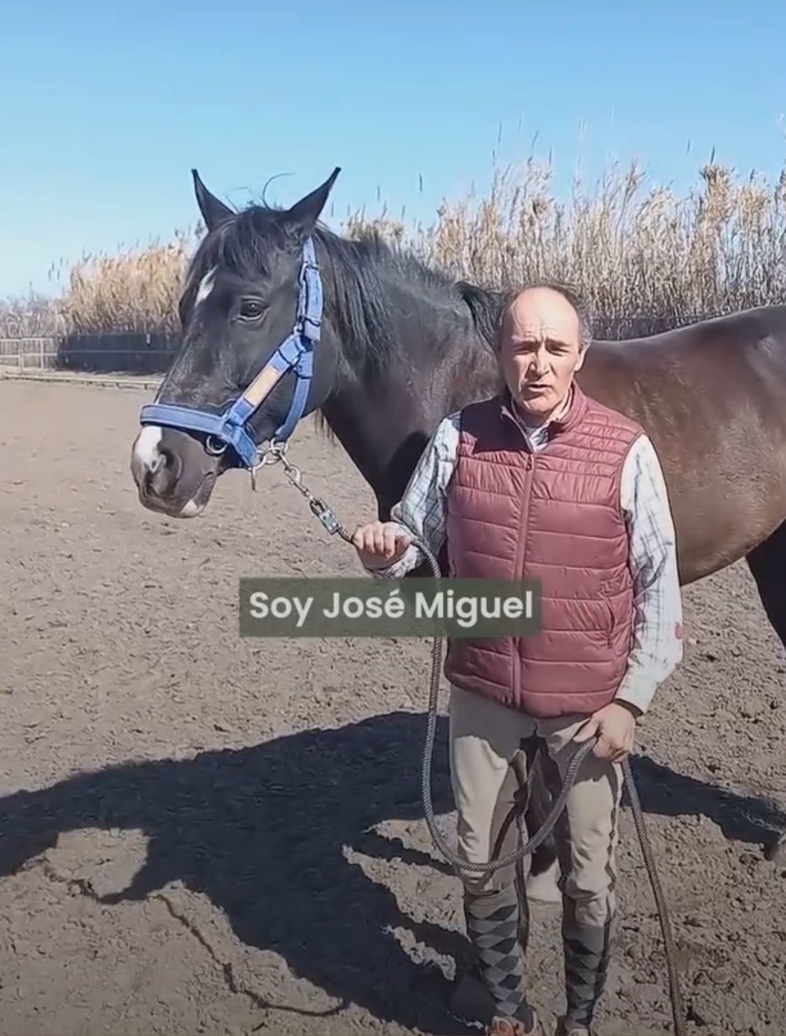 caso real crines y cola Jose Miguel