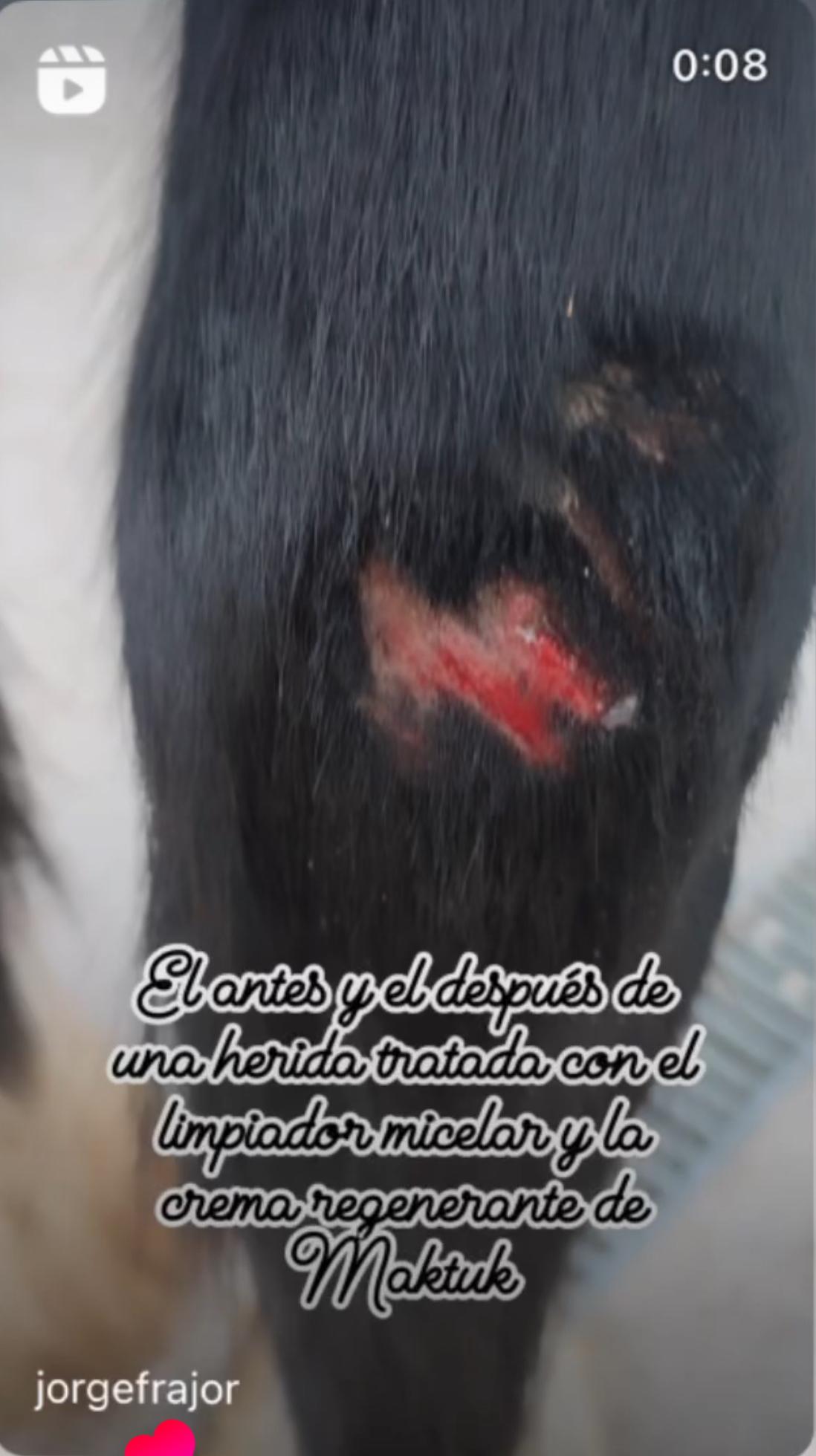 Primera captura del seguimiento compartido por Jorge sobre el uso de limpiador micelar y crema MAKTUK HORSES