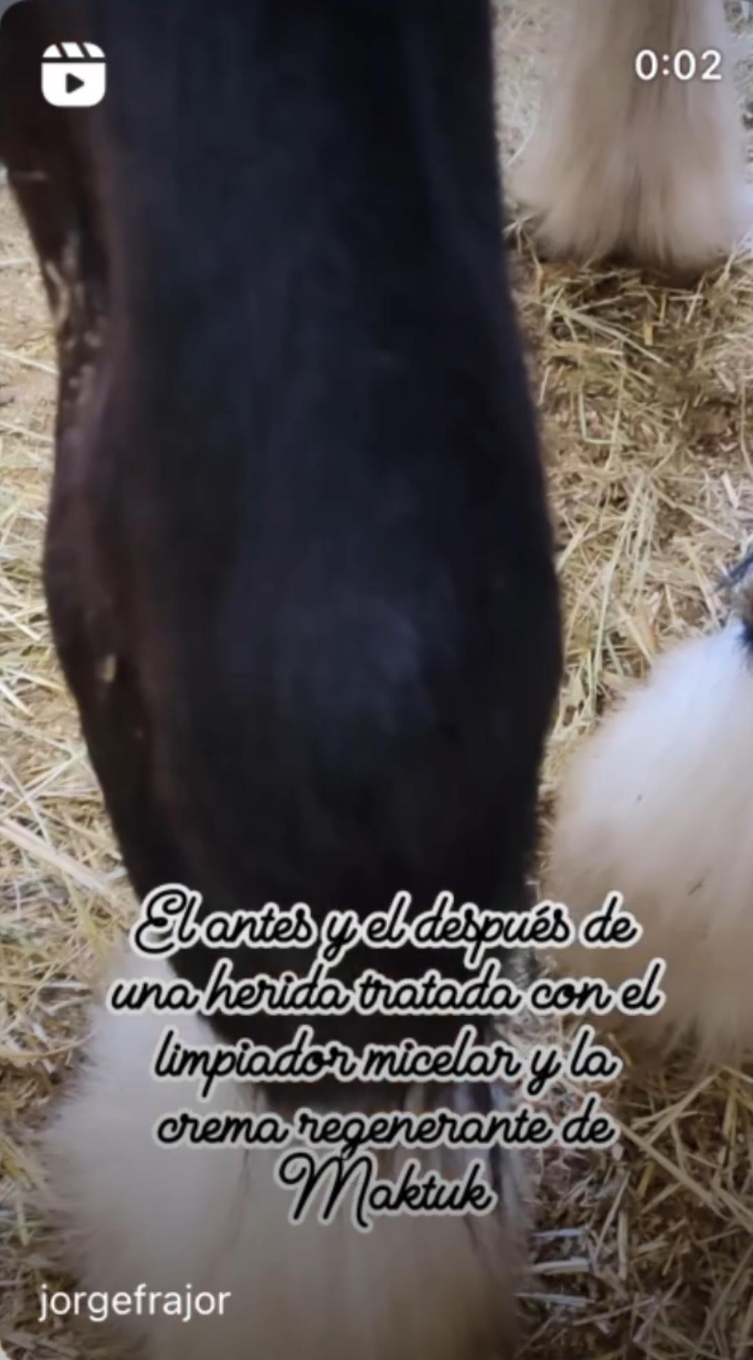 Segunda captura del mismo seguimiento compartido por Jorge sobre el uso de limpiador micelar y crema MAKTUK HORSES