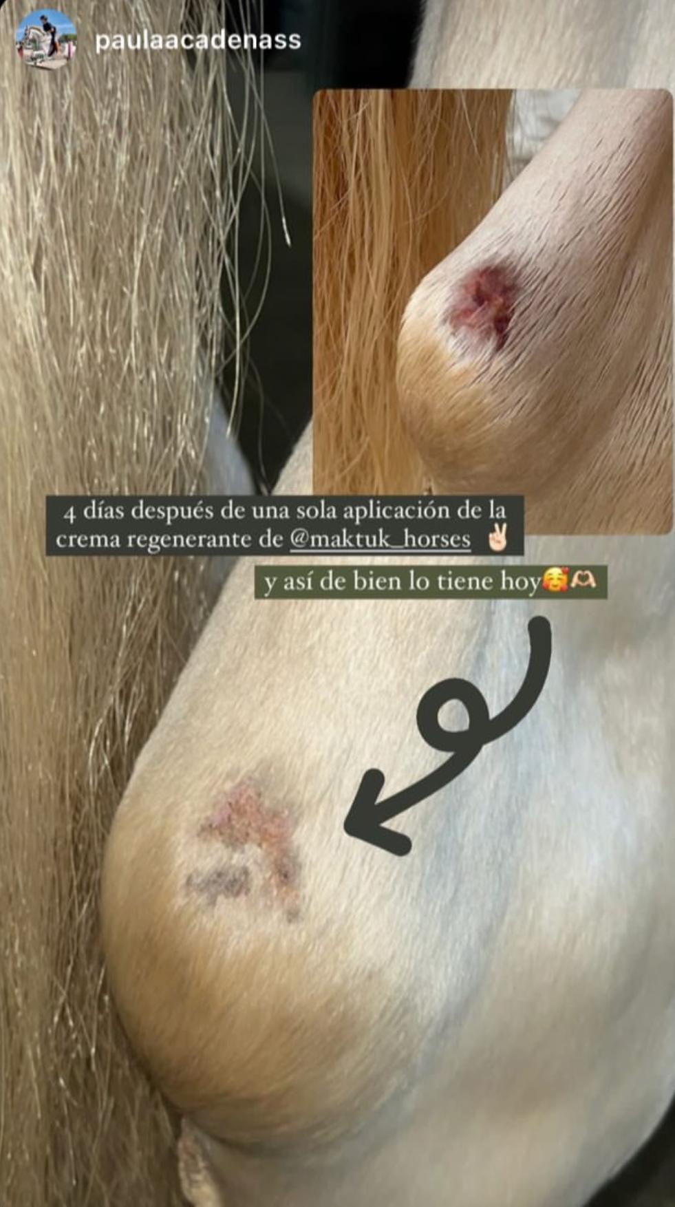 Seguimiento fotográfico de la piel de un caballo compartido por Paula sobre su experiencia con la crema MAKTUK HORSES