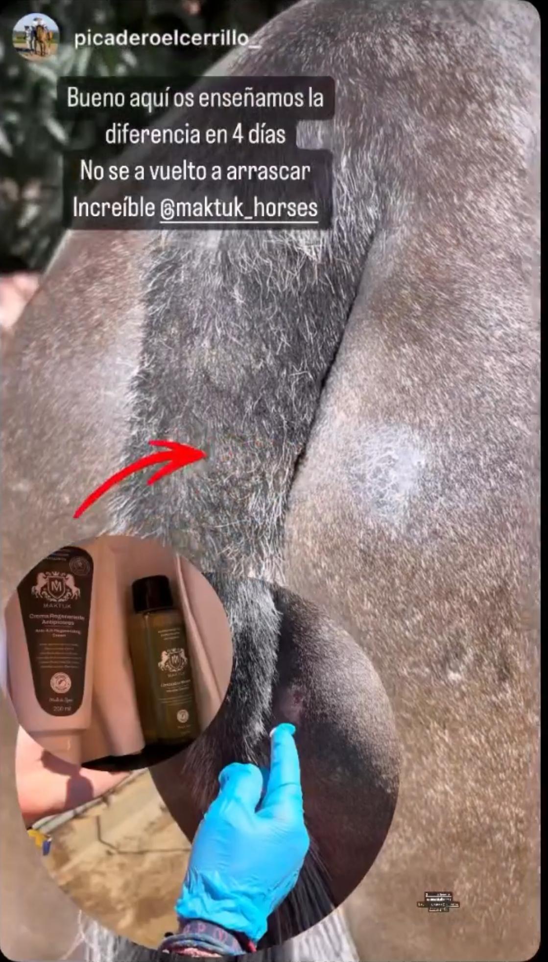 Fotografías compartidas por Picadero El Cerrillo junto a la crema y el limpiador micelar MAKTUK HORSES