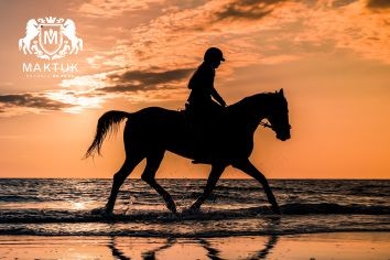 Accesorios para montar a caballo